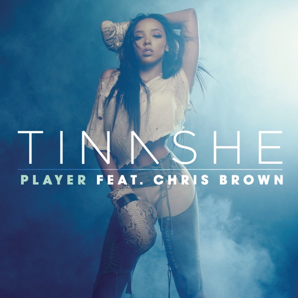 Player (feat. Chris Brown) - Single - Tinashe