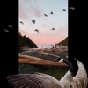Ali and the Wild Geese - Gravity