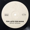 Too Late for Mama - Single