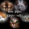 Baby Kitten (Cat Family) - sleepy Red Sheep lyrics