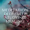 Meditation, Deep Sleep, Studying, Healing: Best Soothing Music Ever album lyrics, reviews, download