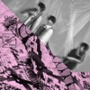 UNISON SQUARE GARDEN - Nihil Pip Viper