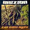 Stream & download San Diego Roots