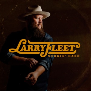 Larry Fleet - Best That I Got - 排舞 音乐