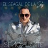 El Seagal De La Salsa - Señora