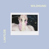 Wildhund artwork