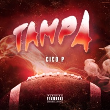 Tampa artwork