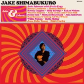Jake Shimabukuro - On The Road To Freedom (feat. Warren Haynes)