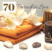 Paradise Spa 70 - Songs for Reducing Stress, Calming Music for Sauna & Stressed Out Body artwork