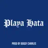 Playa Hata song lyrics