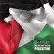 The Rain That Falls On Palestine artwork