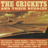 The Crickets - Love's Made A Fool Of You