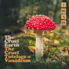 The Cruel Tutelage of Vanadium - EP album lyrics, reviews, download