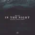 In the Night (Manuel Costa Remix) song reviews