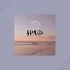 Stream & download Spark - Single