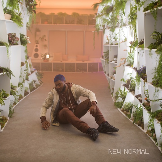 Cover artwork for New Normal