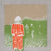 Camper Van Beethoven - Wasting All Your Time