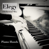 Elegy (Orchestral Mix) artwork