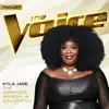 Stream & download The Complete Season 14 Collection (The Voice Performance)