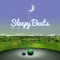 Awesomeness - Sleepy Beats lyrics
