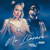 No Lloraré - Single album lyrics, reviews, download