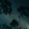Starry Night - Single album lyrics, reviews, download
