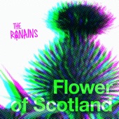 Flower of Scotland artwork