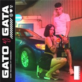 Gato y gata (feat. Hoseo Bby) artwork