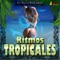 Sin Recreo - Ritmos Tropicales lyrics