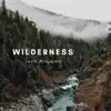 Wilderness - Single album lyrics, reviews, download