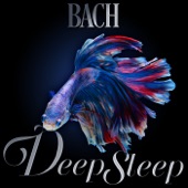 Bach Deep Sleep artwork