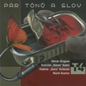 Pár Tónů A Slov artwork