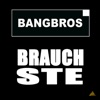 Brauchste - Single