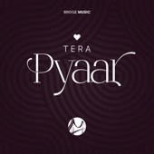 Tera Pyaar (feat. Philemon Anand, Sheenu Mariam & Hemant Sharma) artwork