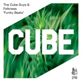 Funky Beatz (Radio Edit) artwork