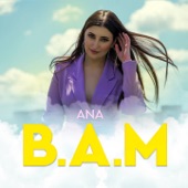 B.A.M. artwork