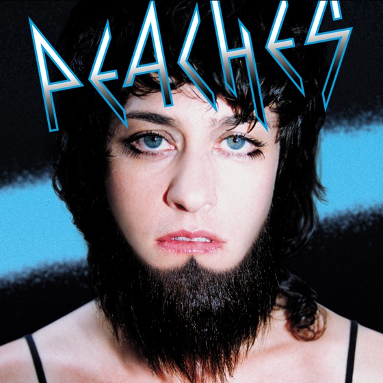 Cover artwork for Shake Yer Dix