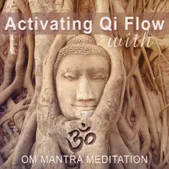 Activating Qi Flow with Om Mantra Meditation: 50 Zen Songs for Yoga Exercises, Asian Music Therapy, Relaxation Environment, Sacred Chants for Healing by Mantra Yoga Music Oasis album reviews, ratings, credits