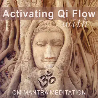 Activating Qi Flow with Om Mantra Meditation: 50 Zen Songs for Yoga Exercises, Asian Music Therapy, Relaxation Environment, Sacred Chants for Healing by Mantra Yoga Music Oasis album reviews, ratings, credits