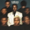 Voices (French Version) - Single