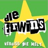 Vergiss die Welt