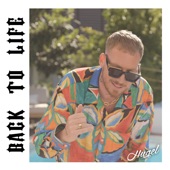 Back to Life artwork