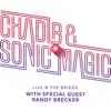 Live at the Bridge (feat. Randy Brecker) album lyrics, reviews, download
