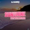 Sunshine (feat. Amine Haibabi) [French Remix] artwork