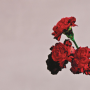 Love in the Future (Expanded Edition) - John Legend