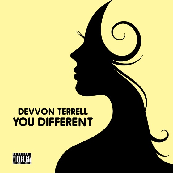 Cover artwork for You Different