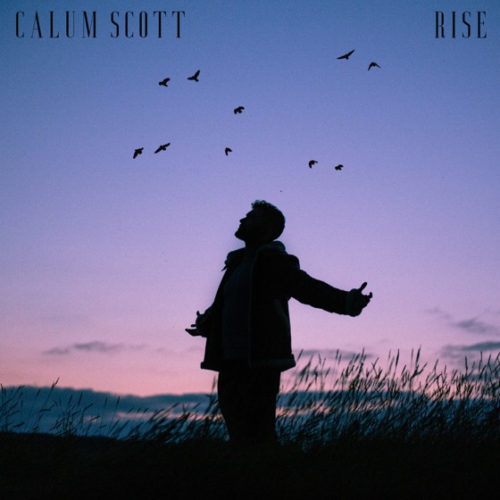 Cover artwork for Rise