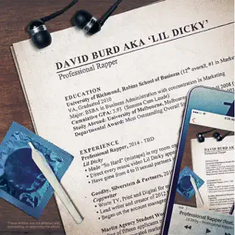 Professional Rapper (feat. Snoop Dogg) by Lil Dicky song reviws