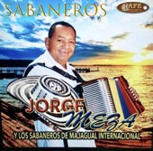 Jorge Meza y Los Sabaneros de Majagual Internacional - Mosaico Sabanero: Tamarindo / Tamarindo Seco / Tres Punta / Los Sabanales / La Adivinanza