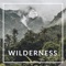 Wilderness - Probackmusic & FRIVO lyrics